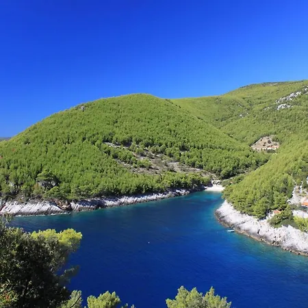 Holiday home Secluded Fisherman's Cove Bratinja Luka, Korcula - 12764 Zrnovo